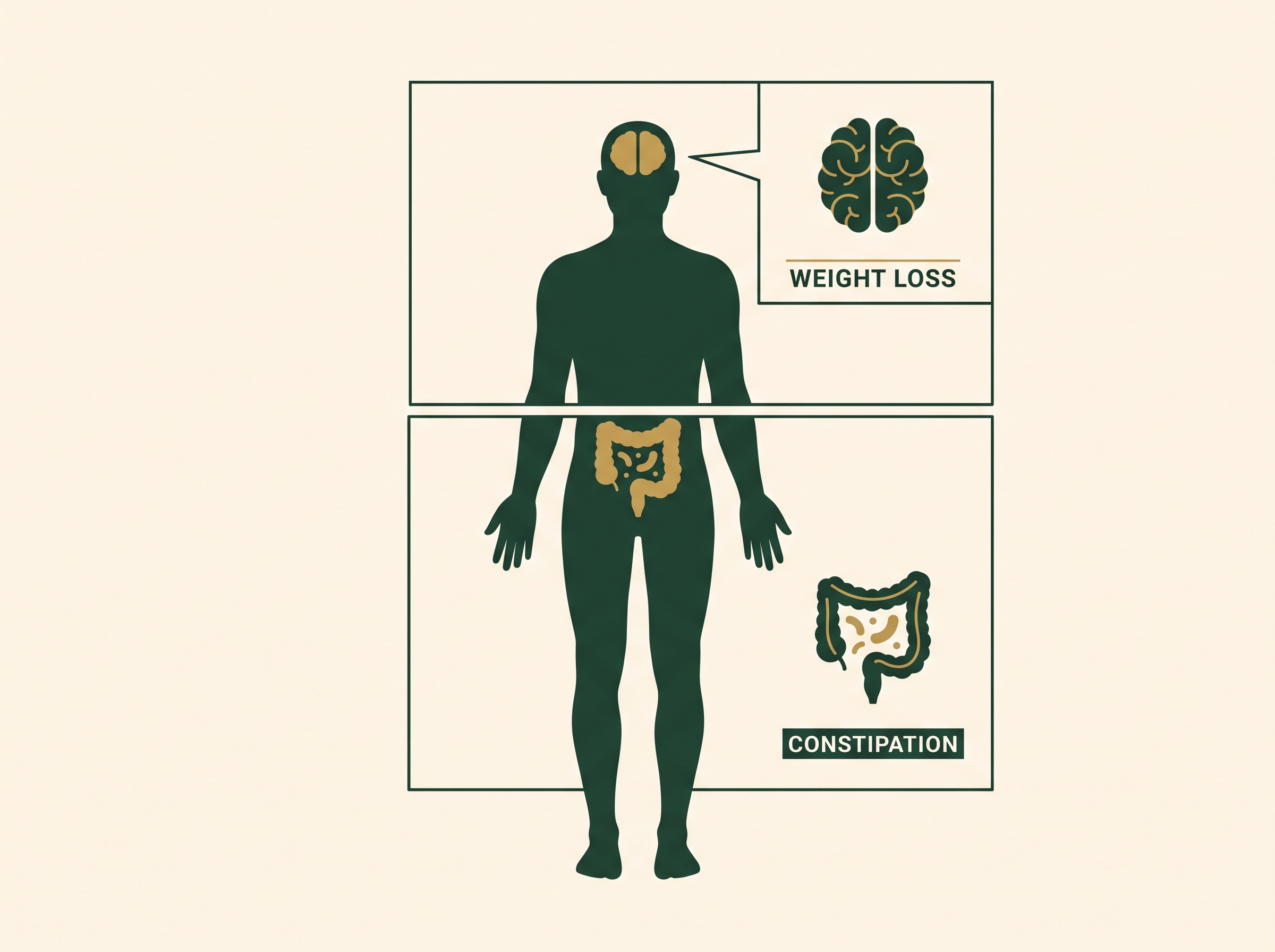 Two separate systems: brain and appetite for weight loss, colon and bacteria for constipation